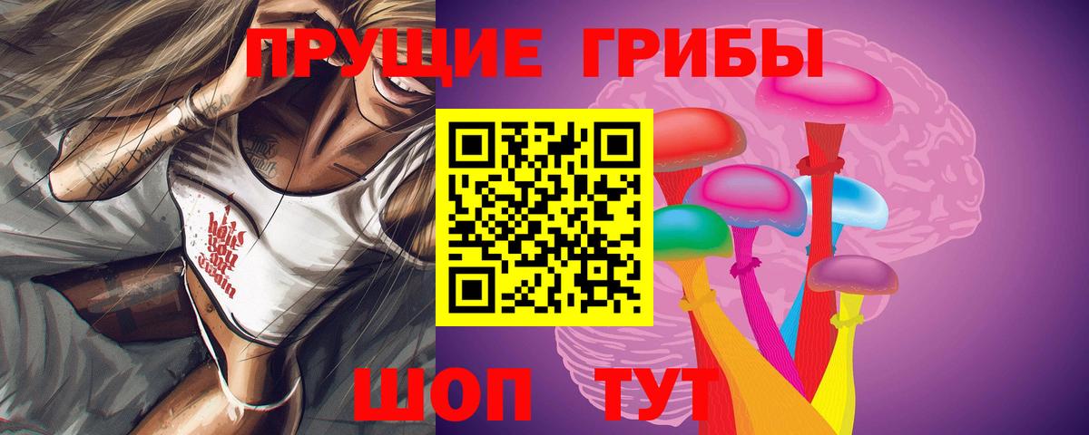 Псилоцибиновые грибы Psilocybine cubensis Славгород